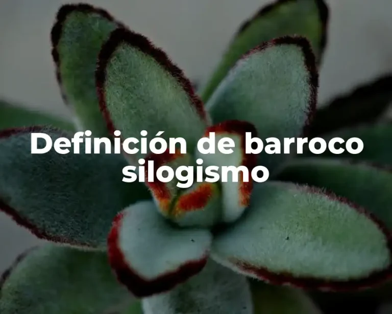 Definición de barroco silogismo
