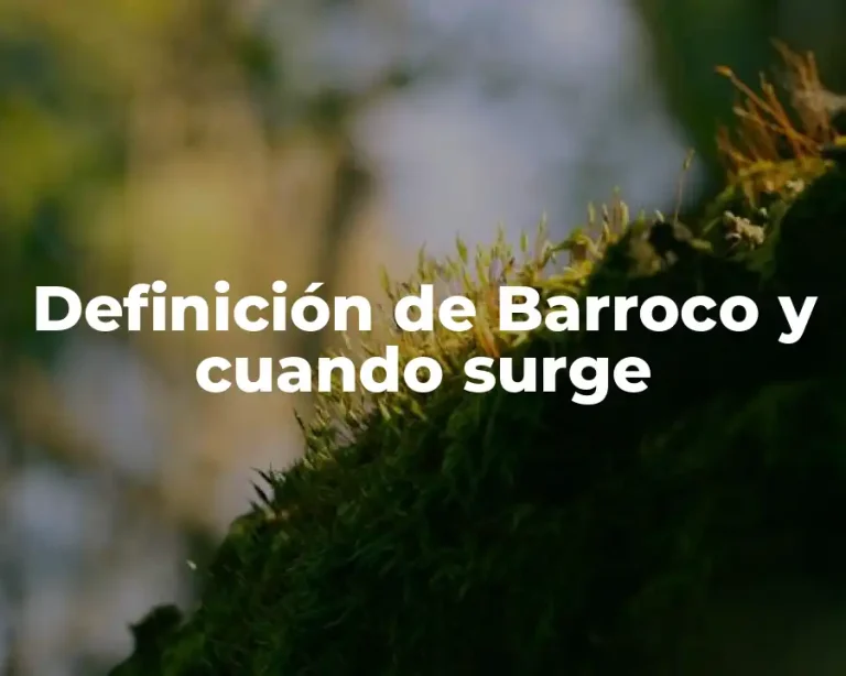Definición de Barroco y cuando surge