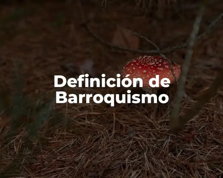 Definición de Barroquismo