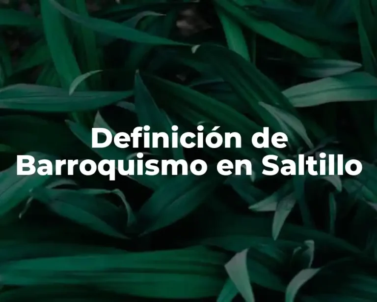 Definición de Barroquismo en Saltillo