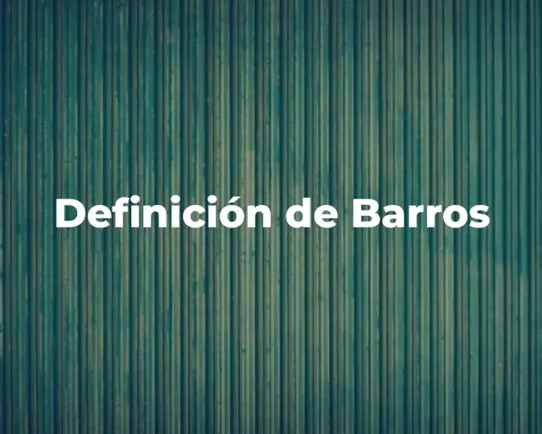Definición de Barros