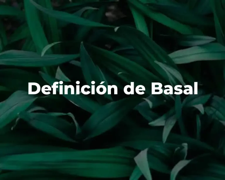 Definición de Basal