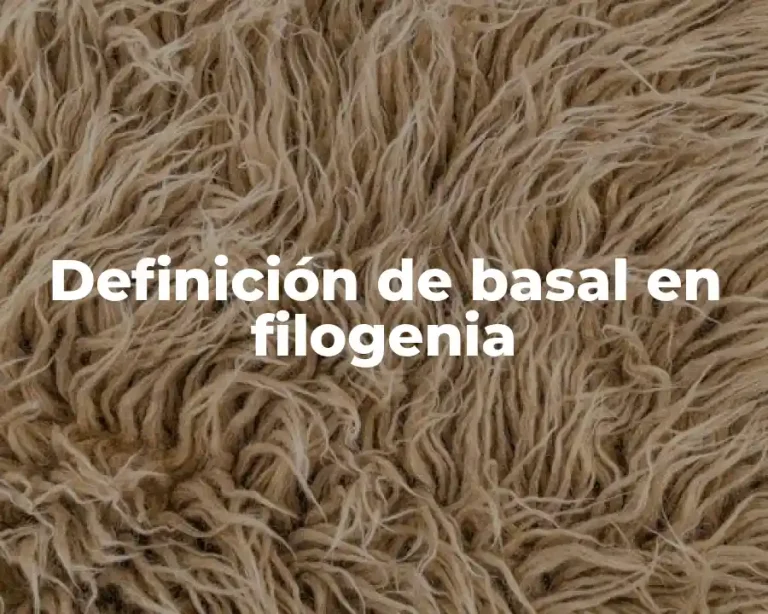Definición de basal en filogenia