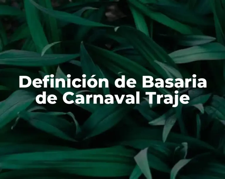 Definición de Basaria de Carnaval Traje