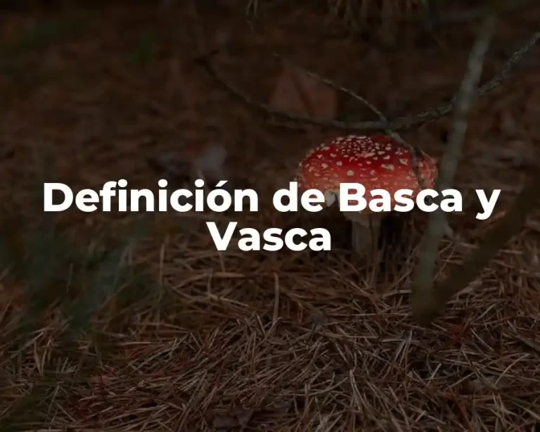 Definición de Basca y Vasca
