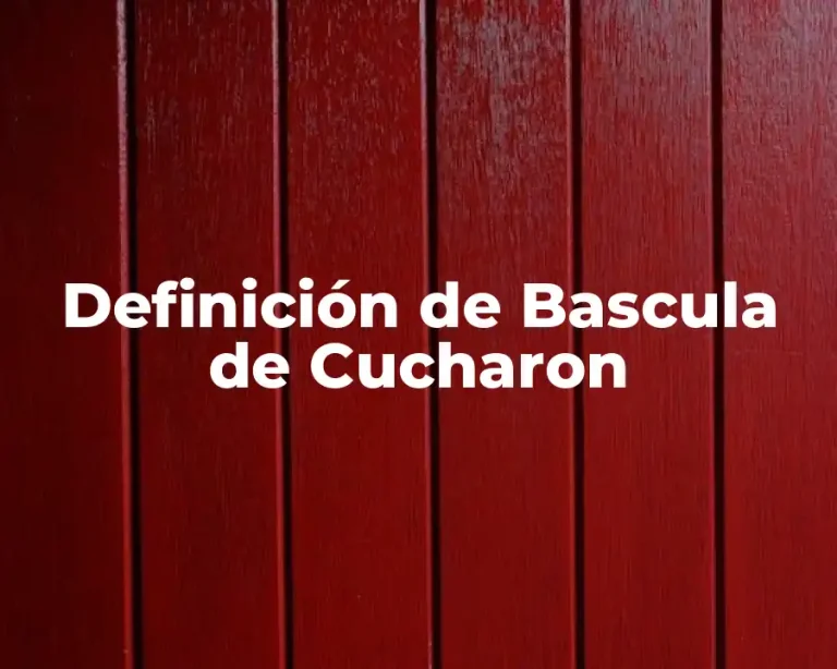 Definición de Bascula de Cucharon