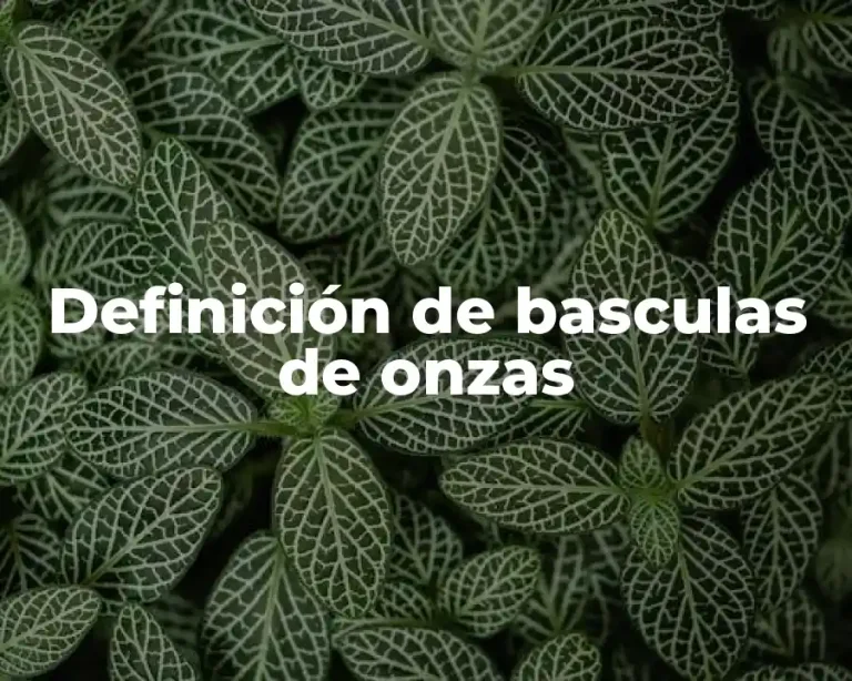Definición de basculas de onzas