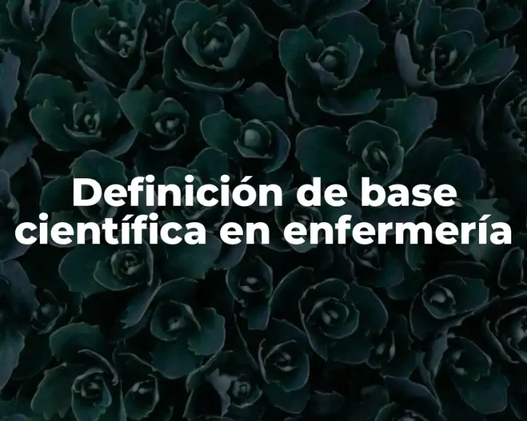 Definición de base científica en enfermería