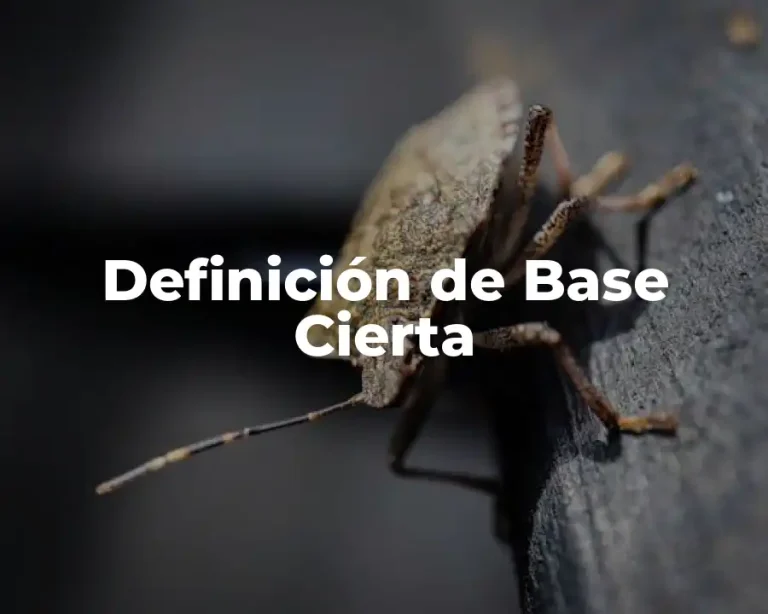 Definición de Base Cierta