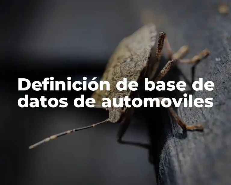 Definición de base de datos de automoviles