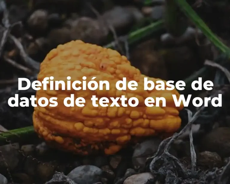 Definición de base de datos de texto en Word