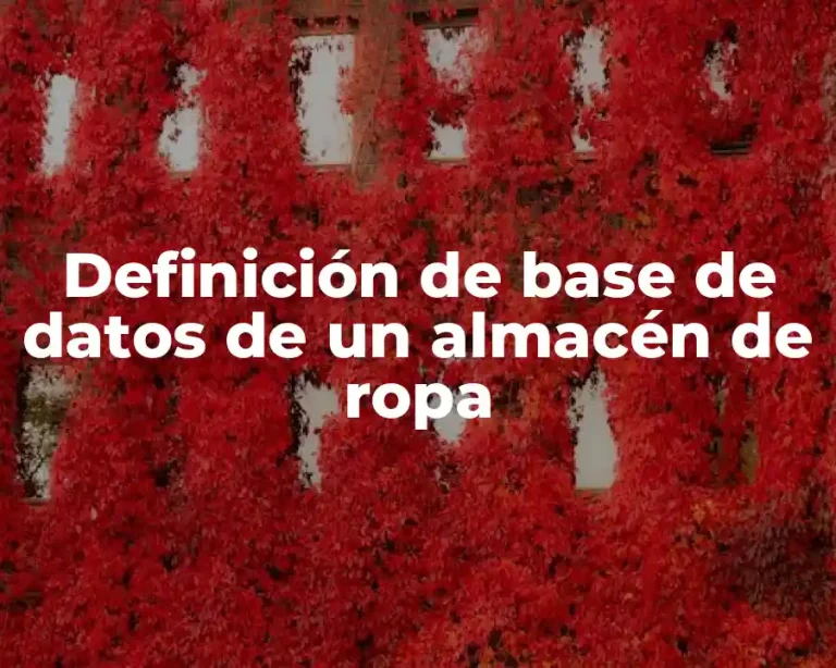 Definición de base de datos de un almacén de ropa