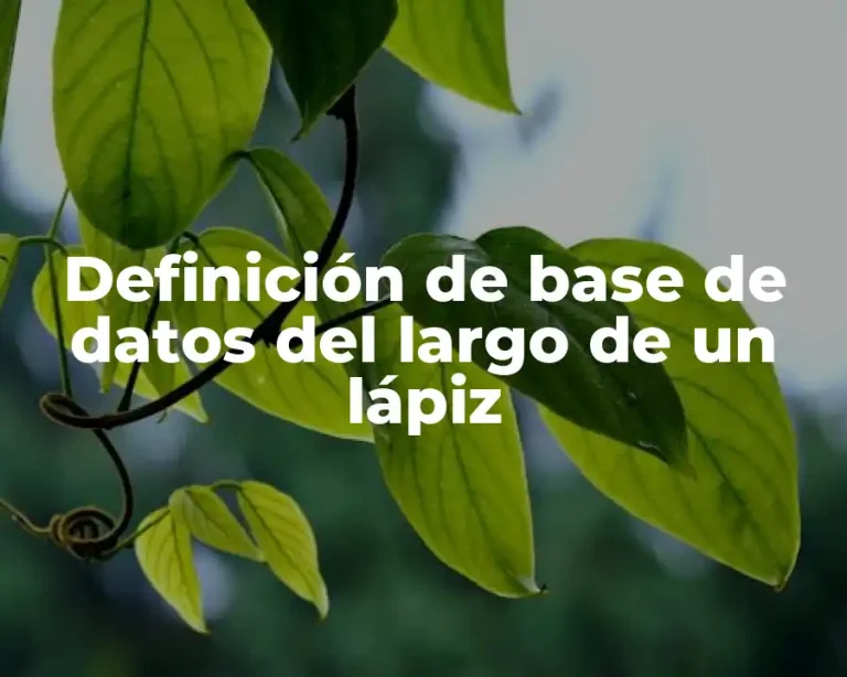 Definición de base de datos del largo de un lápiz