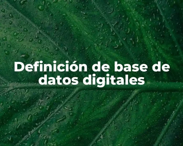 Definición de base de datos digitales
