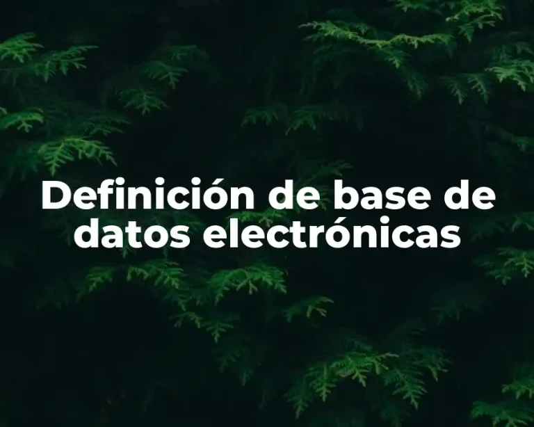 Definición de base de datos electrónicas