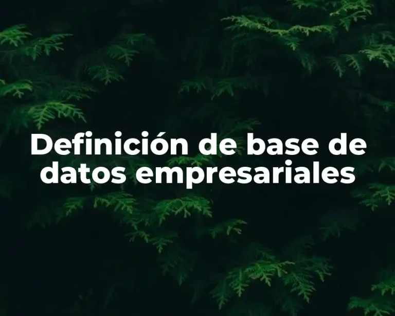 Definición de base de datos empresariales