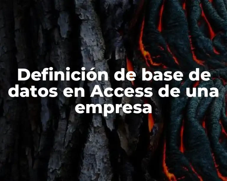 Definición de base de datos en Access de una empresa