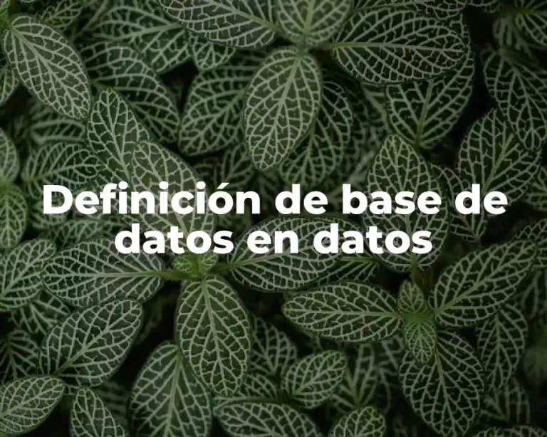 Definición de base de datos en datos