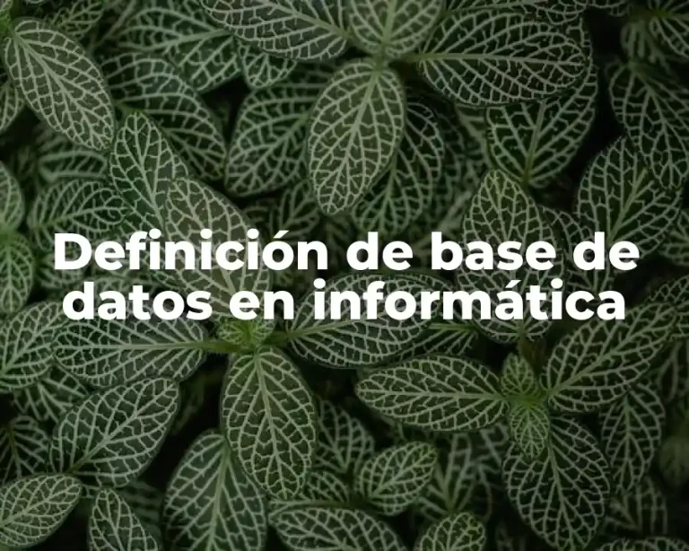 Definición de base de datos en informática