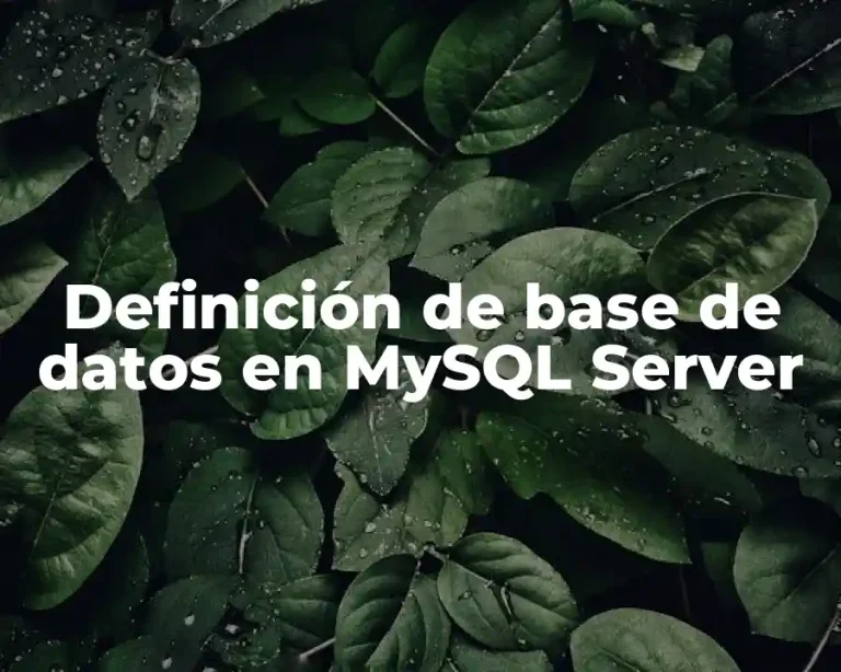 Definición de base de datos en MySQL Server