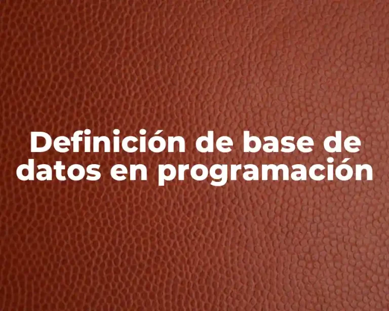 Definición de base de datos en programación