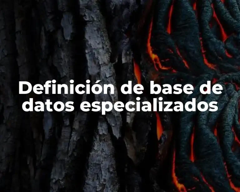 Definición de base de datos especializados