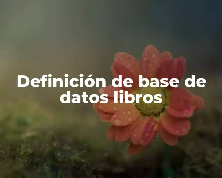 Definición de base de datos libros