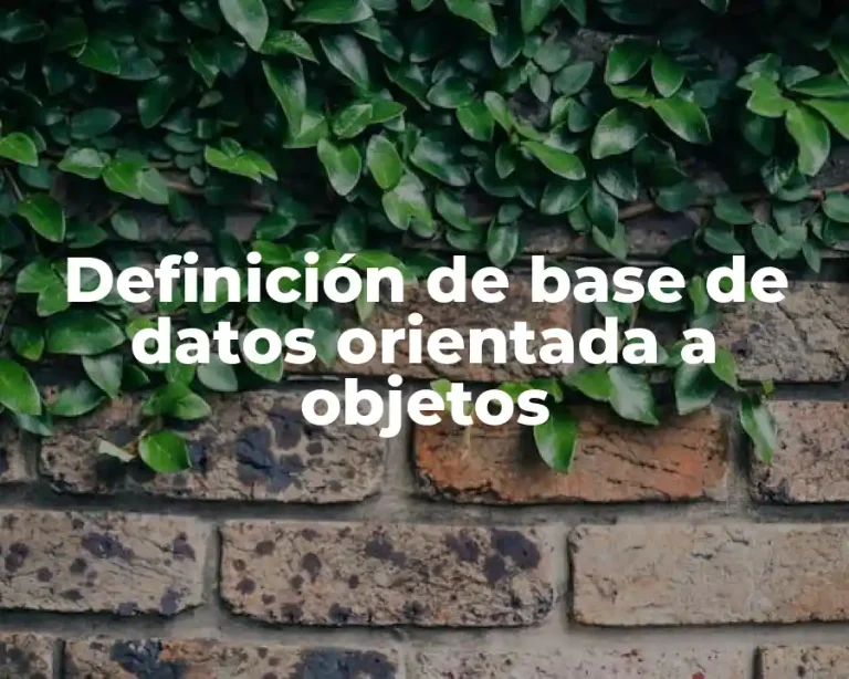 Definición de base de datos orientada a objetos