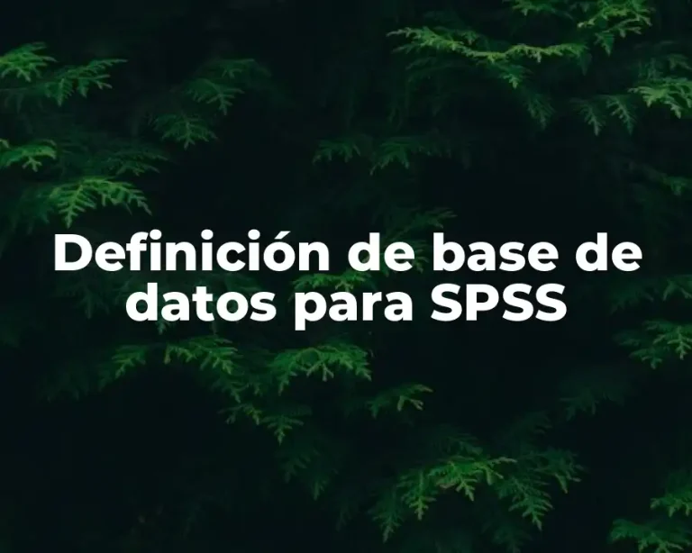 Definición de base de datos para SPSS