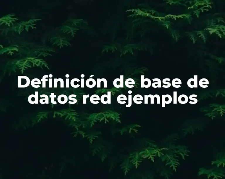 Definición de base de datos red ejemplos