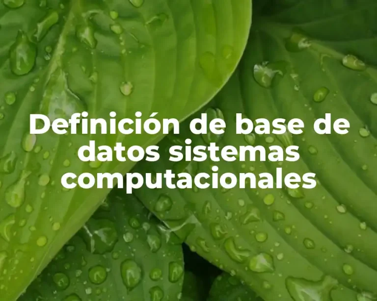 Definición de base de datos sistemas computacionales