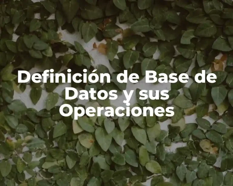 Definición de Base de Datos y sus Operaciones