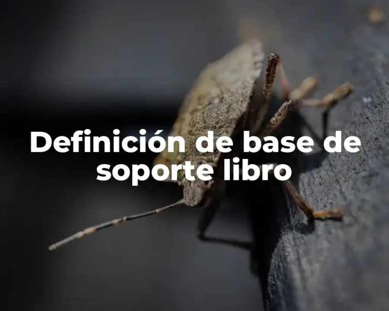 Definición de base de soporte libro
