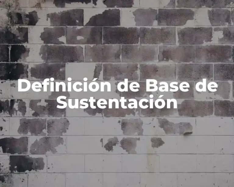 Definición de Base de Sustentación