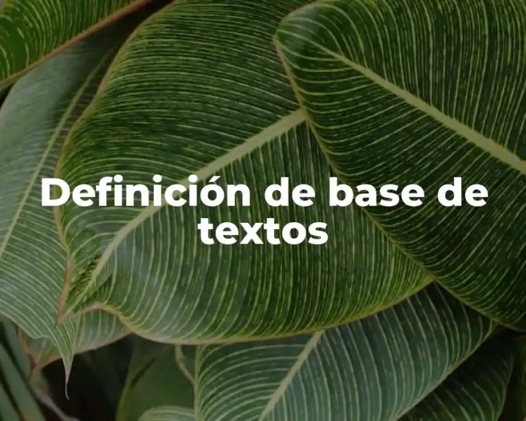 Definición de base de textos