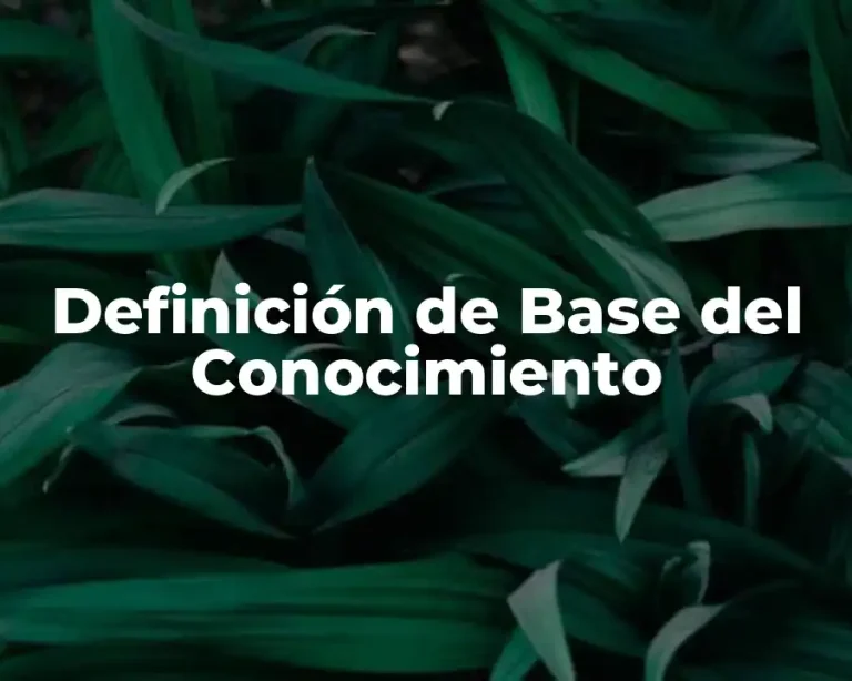 Definición de Base del Conocimiento