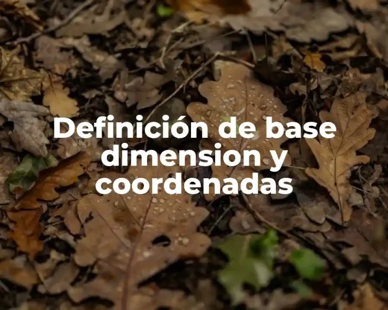 Definición de base dimension y coordenadas
