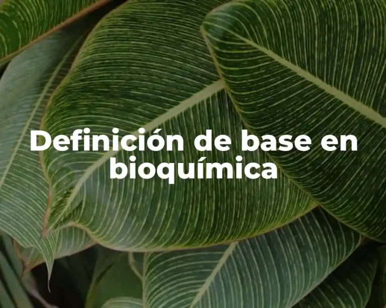 Definición de base en bioquímica