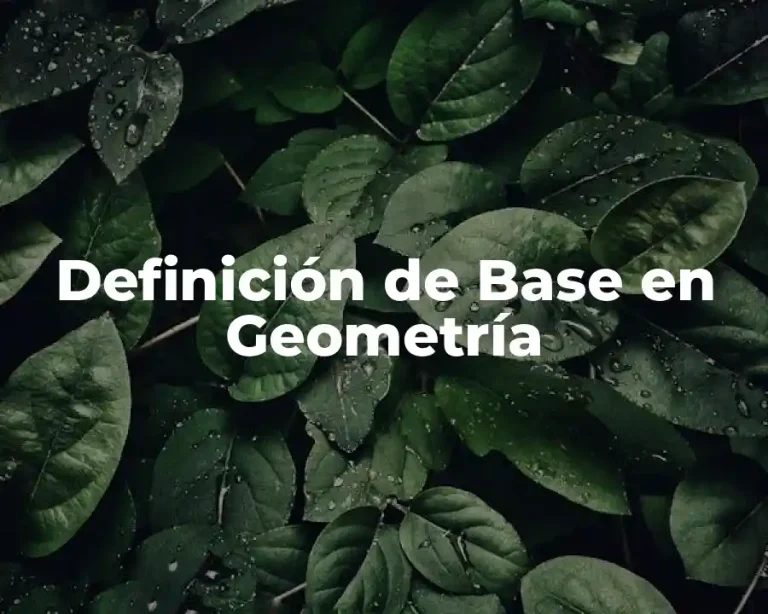 Definición de Base en Geometría
