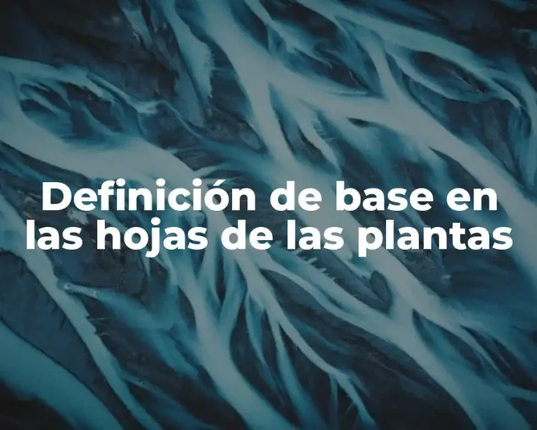 Definición de base en las hojas de las plantas