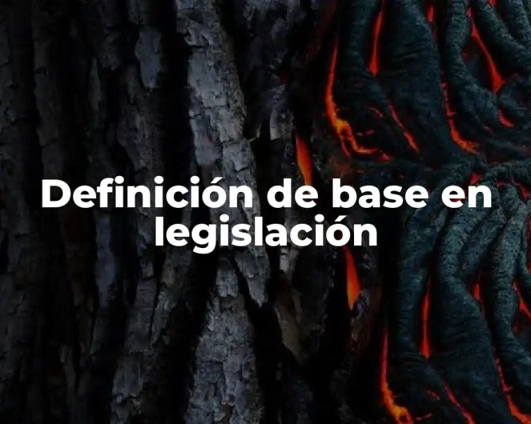 Definición de base en legislación