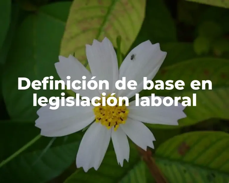 Definición de base en legislación laboral