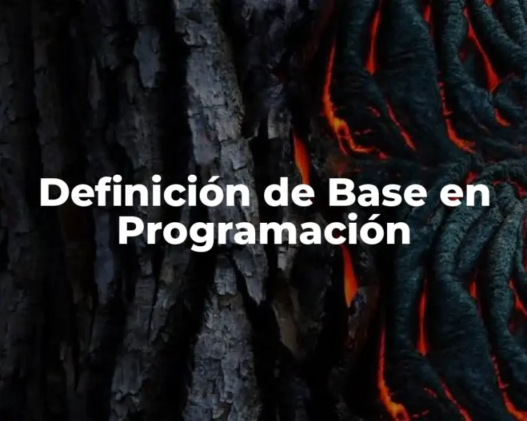 Definición de Base en Programación