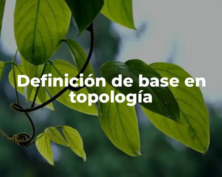 Definición de base en topología