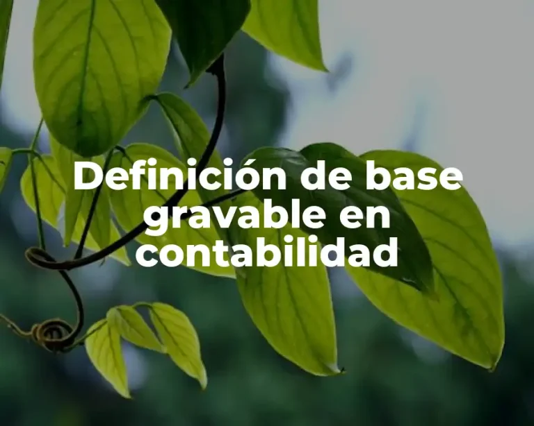 Definición de base gravable en contabilidad