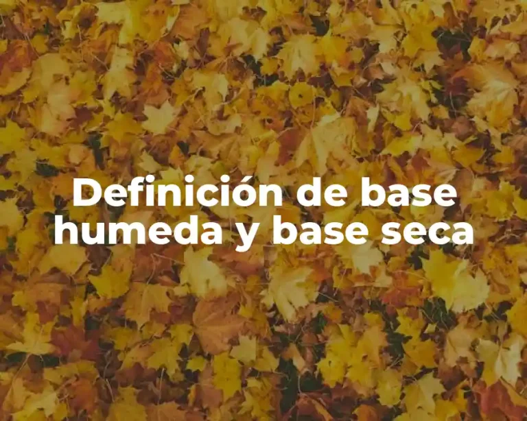 Definición de base humeda y base seca