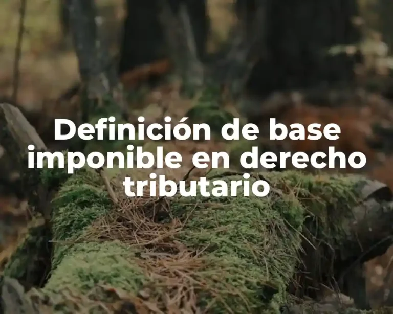 Definición de base imponible en derecho tributario