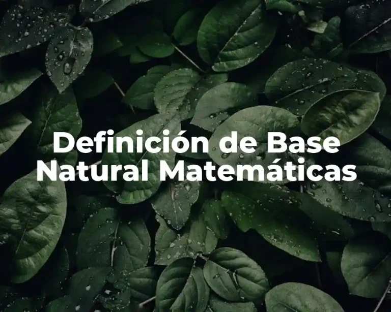 Definición de Base Natural Matemáticas