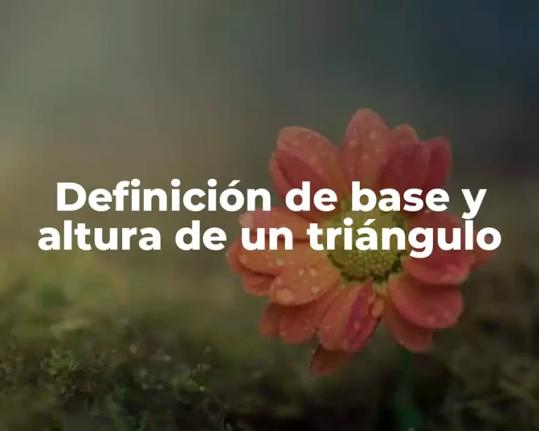 Definición de base y altura de un triángulo