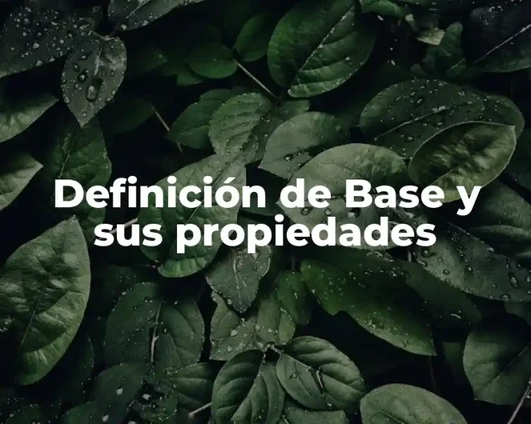 Definición de Base y sus propiedades